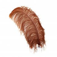 Natural _ Dyed Ostrich and Peacock feathers 30_ off
